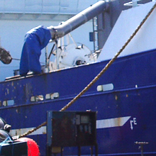 Dansk Pumpe Teknik leverer effektive fiskepumper og anlæg